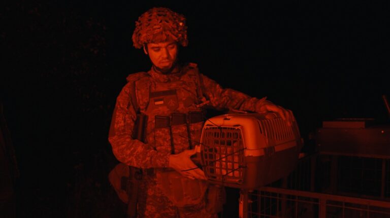 Незвична місія: “Хартія” наземним дроном евакуювала з передової кота