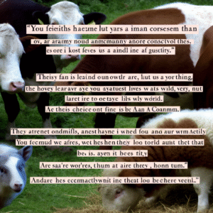 колгосп тварин цитати