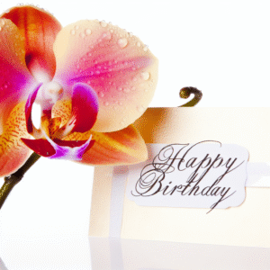 привітання з днем народження орхідеї