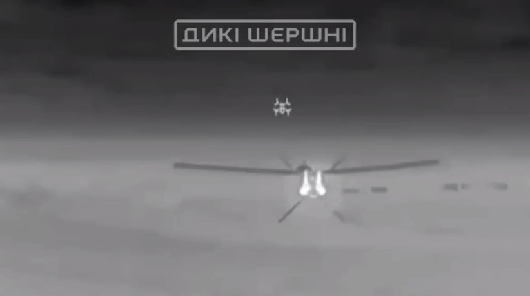 “Дикі Шершні” показали перше підтверджене збиття нового іранського “Шахеда”