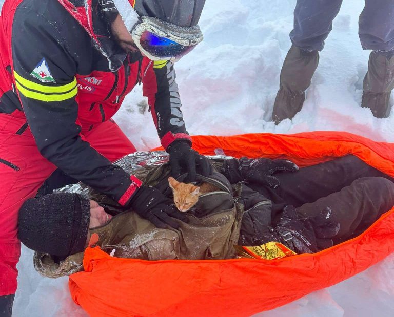 В Румунії українець впав у 400-метровий яр: кіт врятував йому життя