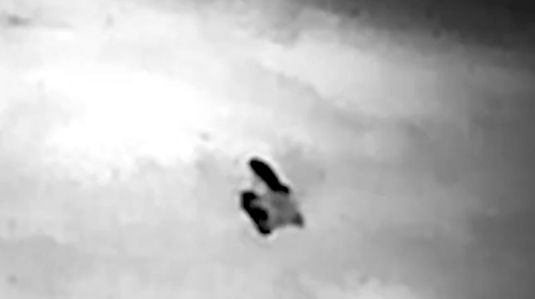 Утримали рубежі без втрат: український НРК із туреллю провів 45 днів на позиції замість піхоти