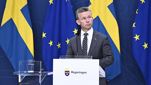 У Швеції створили посаду з питань відновлення України