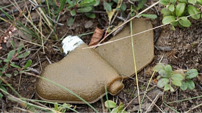 Польща виходить з конвенції про заборону протипіхотних мін і готується їх виробляти