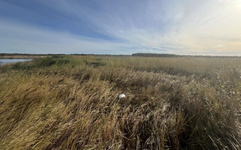 На узбережжі Естонії знайшли уламок великого дрона