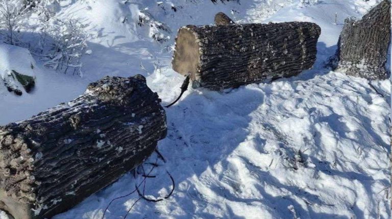 “Флеш” показав, як російська армія маскує антени зв’язку у вигляді дерев’яних колод