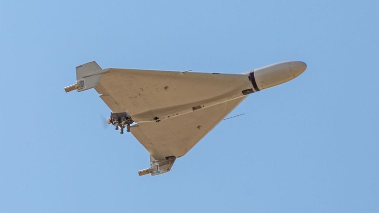 У Литві виявили невідомий дрон (відео)